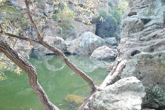 Enlarge photo 37