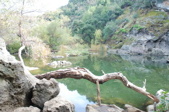 Enlarge photo 39