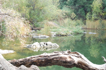 Enlarge photo 40