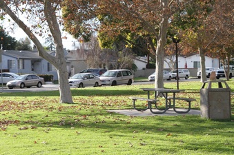 Enlarge photo 38