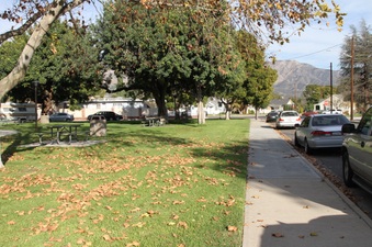 Enlarge photo 43