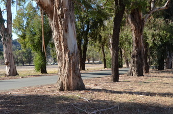 King Gillette Ranch