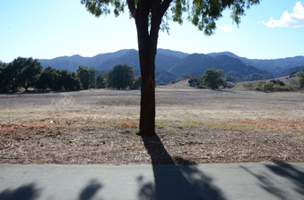 Enlarge photo 14