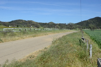 Enlarge photo 11