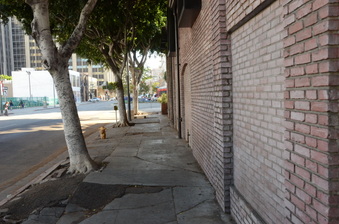 Enlarge photo 14
