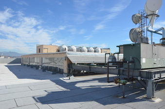 Enlarge photo 41