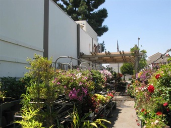 Enlarge photo 64