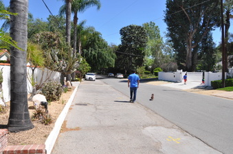 Enlarge photo 34