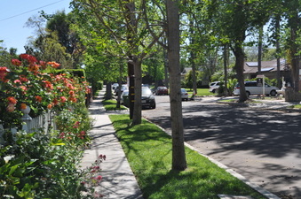 Enlarge photo 31