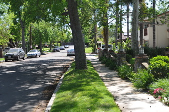 Enlarge photo 32