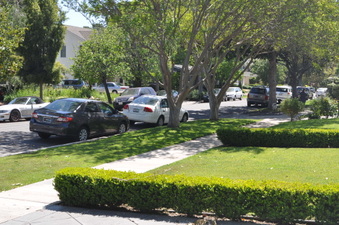 Enlarge photo 32