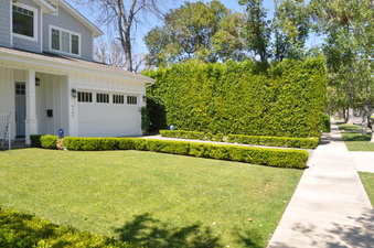 Enlarge photo 35