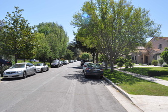 Enlarge photo 37