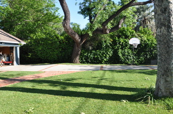 Enlarge photo 5