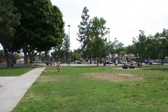 Enlarge photo 13
