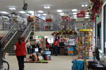 Enlarge photo 31