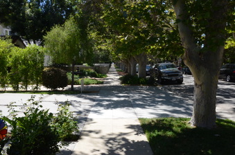 Enlarge photo 5