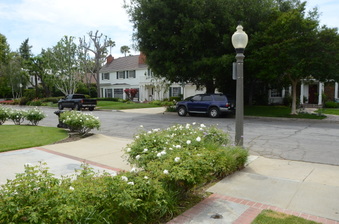 Enlarge photo 17