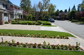 Enlarge photo 11