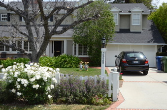 Enlarge photo 7