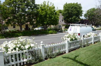 Enlarge photo 13