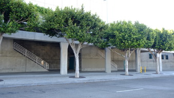 Enlarge photo 14