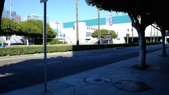 Enlarge photo 42
