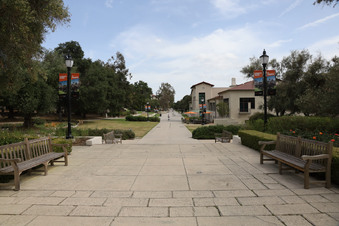 Enlarge photo 36