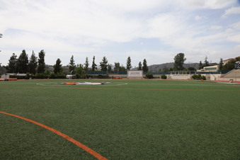 Enlarge photo 59