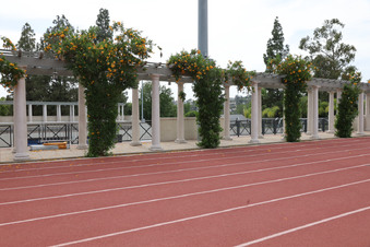 Enlarge photo 62