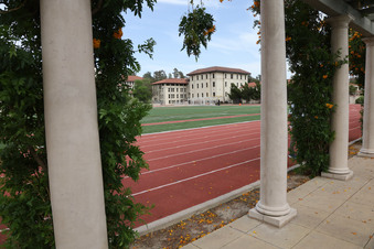 Enlarge photo 64