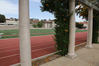 Enlarge photo 65