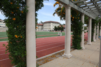 Enlarge photo 66