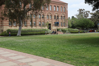 Enlarge photo 74