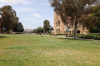 Enlarge photo 80
