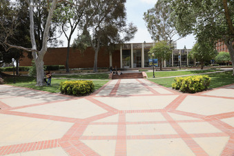 Enlarge photo 81