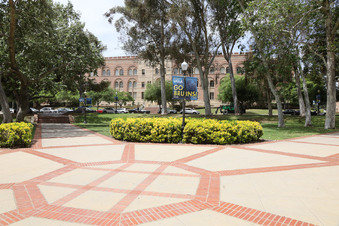 Enlarge photo 82