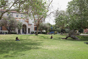 Enlarge photo 90