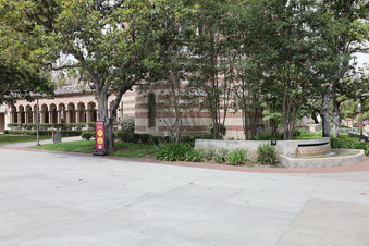 Enlarge photo 45