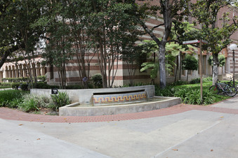 Enlarge photo 48