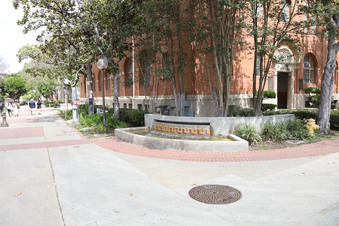Enlarge photo 49