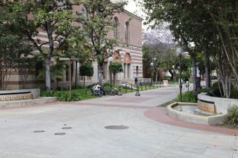 Enlarge photo 59