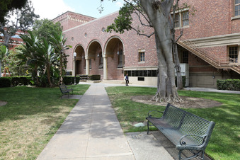 Enlarge photo 91