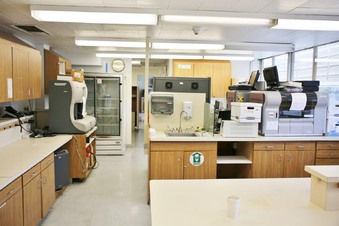 Enlarge photo 40