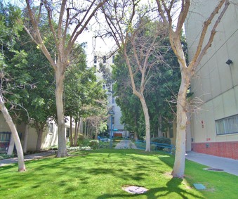 Enlarge photo 54
