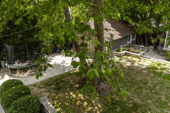 Enlarge photo 76