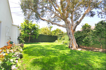 Enlarge photo 33
