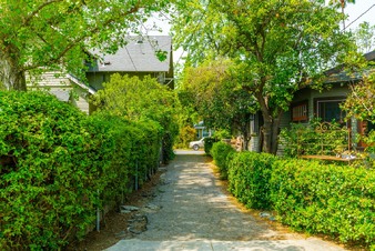 Enlarge photo 56
