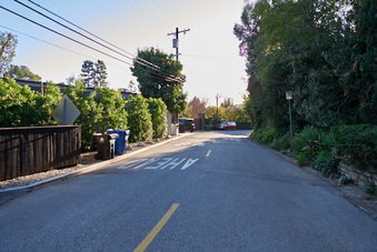 Enlarge photo 91