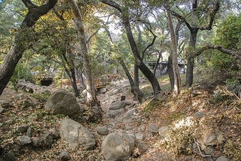 Enlarge photo 61